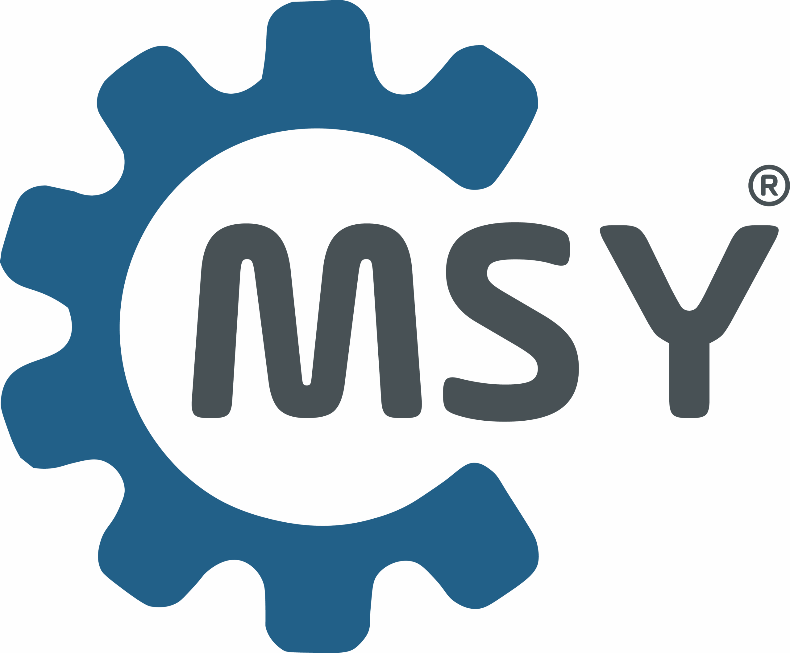 MSY ICONLOGO